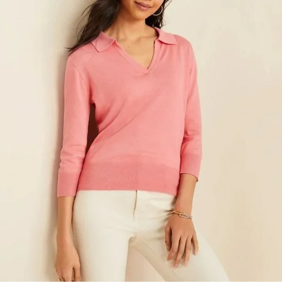 Ann Taylor Sweaters - Ann Taylor Collared V-Neck Sweater